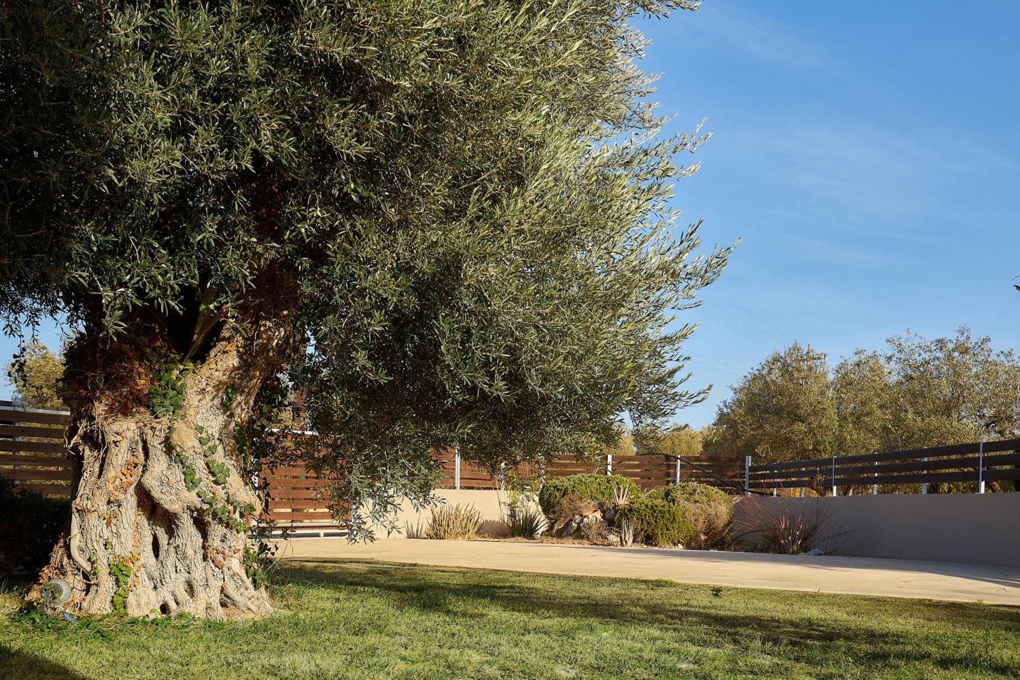 Villa Santa Barbara Hersonisos 헐소니소스 외부 사진